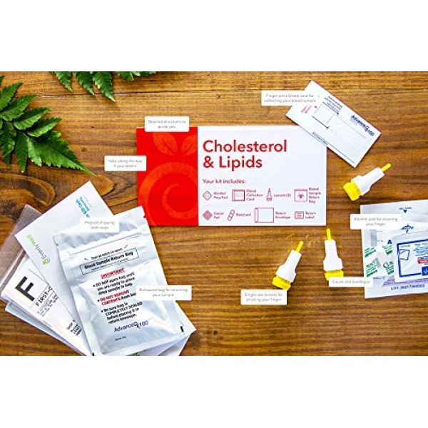 EverlyWell - at-Home Cholesterol & Lipids Test - As Seen On Shark ...
