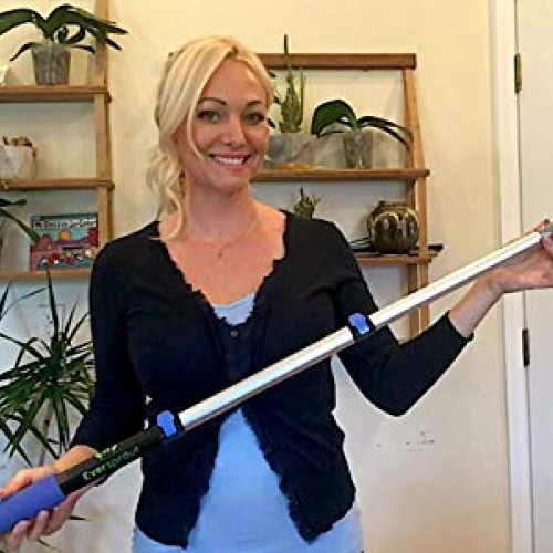 EVERSPROUT 1.5-to-4 Foot Cobweb Duster and Extension-Pole Combo 8...