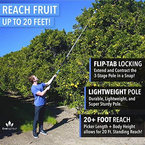 EVERSPROUT 13-Foot Fruit Picker 20+ Foot Reach | Preassembled, E...