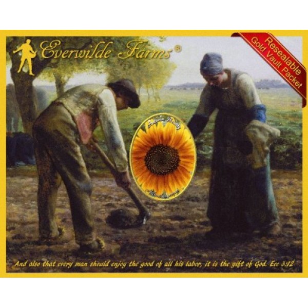 Everwilde Farms - 1 Lb Autumn Beauty Sunflower Wildflower Seeds - ...