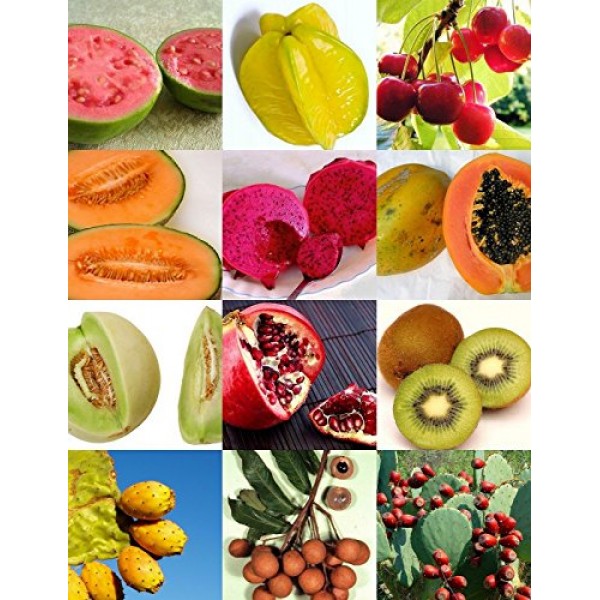 EXOTIC TROPICAL FRUITS MIX sweet edible plant tree fragrant fruit ...