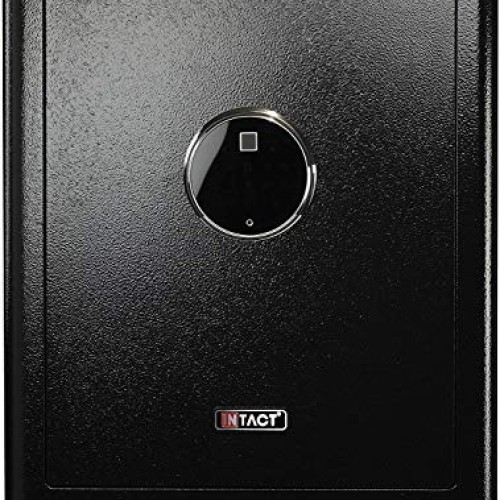 Intact Large Quick Access Biometric Fingerprint Safe With Nex-...