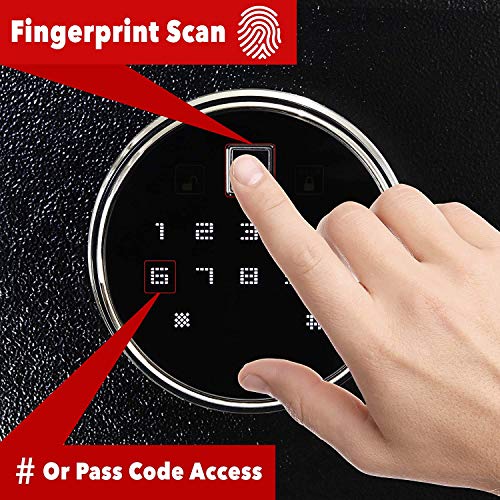 Intact Large Quick Access Biometric Fingerprint Safe With Nex-...
