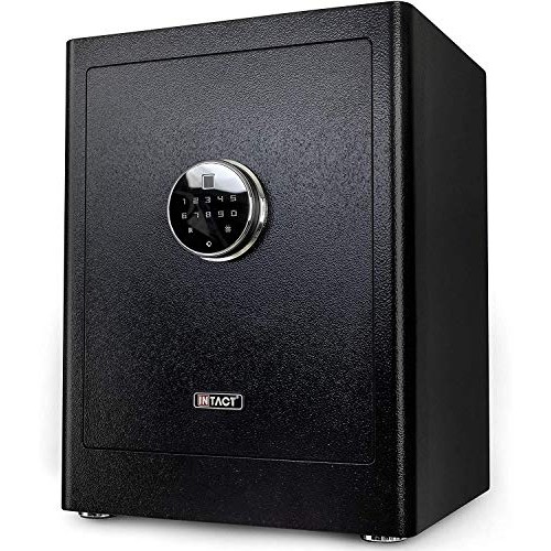 Intact Large Quick Access Biometric Fingerprint Safe With Nex-...