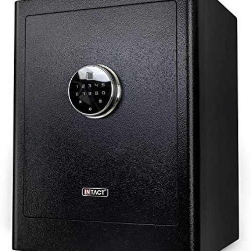 Intact Large Quick Access Biometric Fingerprint Safe With Nex-...