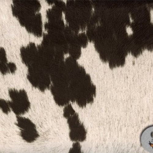 Suede Cow Print Charcoal Black Fabric / 54 Sold By the Yard