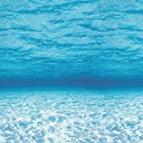 Pacon Fadeless Under the Sea Pattern Art Paper Roll, 48 Inches x 1...