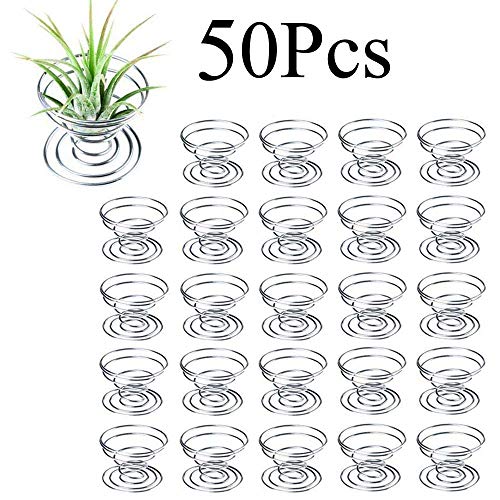 fairy maker 50Pcs Air Plants Holders Air Plant Stand Tillandsia Ho...