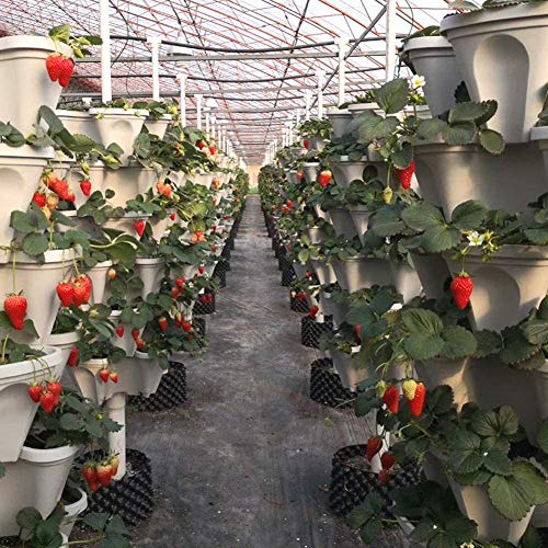 Stackable Vertical Planter Set,Strawberry and Herb 6 Tier Garden T...