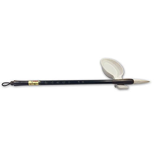 FancyWolf Chinese Calligraphy Set Rewritable Water Writing Cloth F...