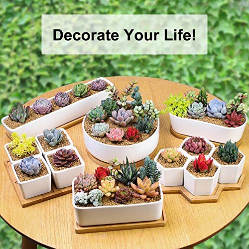 Farielyn-X 2 Pack White Succulent Planter Pots, 11.1 inch Long Rec...