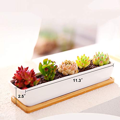 Farielyn-X 2 Pack White Succulent Planter Pots, 11.1 inch Long Rec...