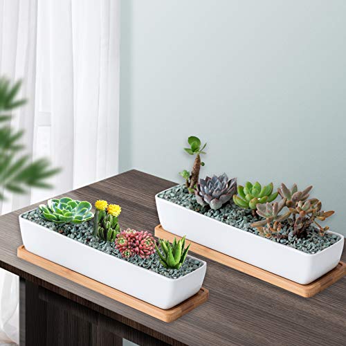 Farielyn-X 2 Pack White Succulent Planter Pots, 11.1 inch Long Rec...