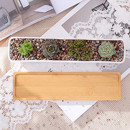 Farielyn-X 2 Pack White Succulent Planter Pots, 11.1 inch Long Rec...