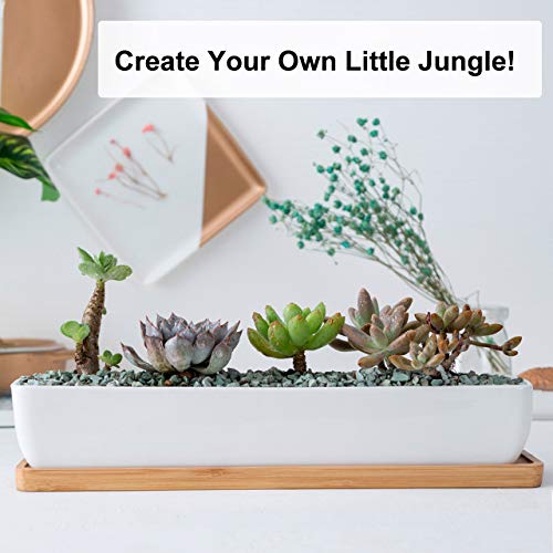 Farielyn-X 2 Pack White Succulent Planter Pots, 11.1 inch Long Rec...