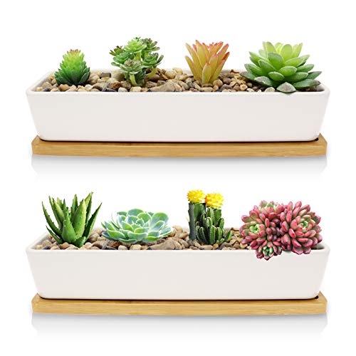 Farielyn-X 2 Pack White Succulent Planter Pots, 11.1 inch Long Rec...