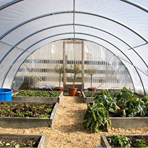 Farm Plastic Supply 4 Year Clear Greenhouse Film 6 mil Thickness ...
