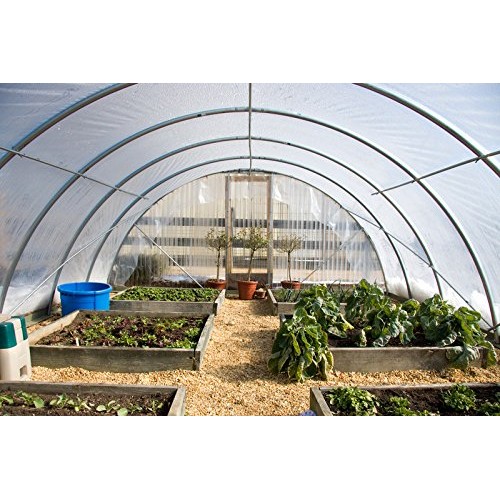 Farm Plastic Supply 4 Year Clear Greenhouse Film 6 mil Thickness ...