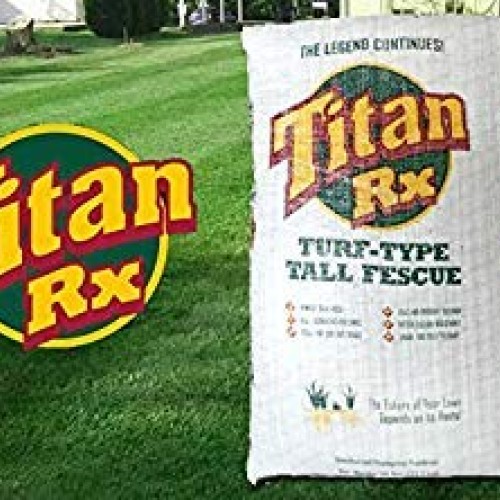Titan RX 5 LB