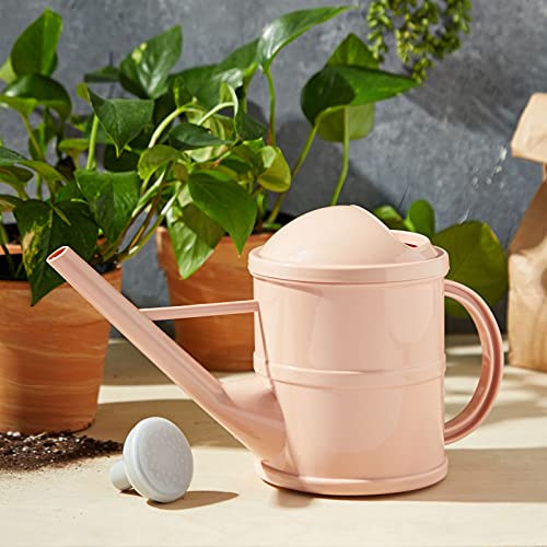 Farmlyn Creek Watering Can with Handle for Indoor Outdoor Plants, ...