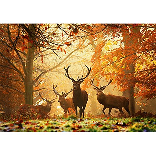 Home Decor, 5D Deer Embroidery Paintings Rhinestone Pasted DIY Dia...