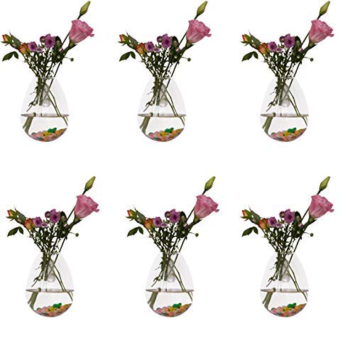 Fashionstorm Pack of 6 Glass Wall Hanging Planters Glass Plant Ter...