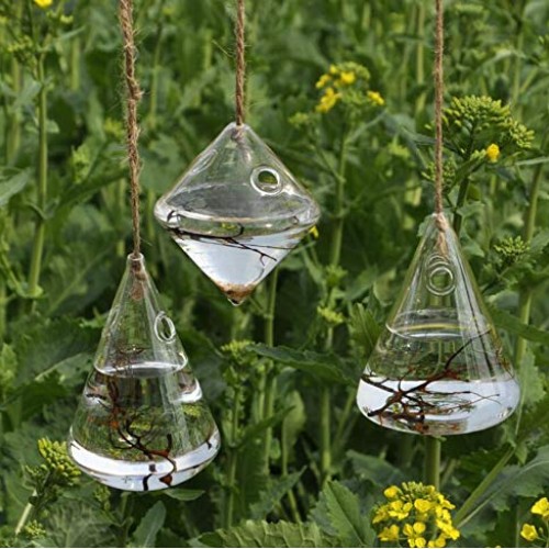 Indoor Outdoor Glass Hanging Planters Plant Pots Water Plant Conta...