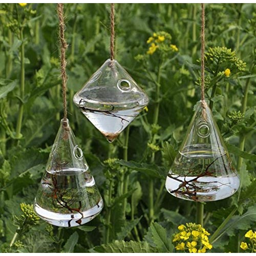 Indoor Outdoor Glass Hanging Planters Plant Pots Water Plant Conta...