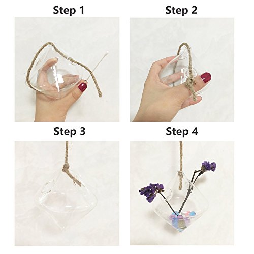 Indoor Outdoor Glass Hanging Planters Plant Pots Water Plant Conta...
