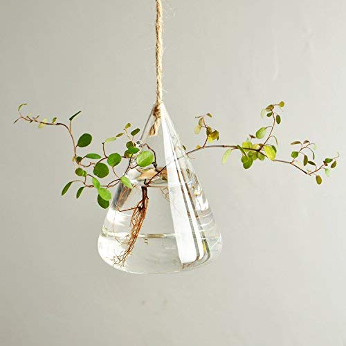 Indoor Outdoor Glass Hanging Planters Plant Pots Water Plant Conta...