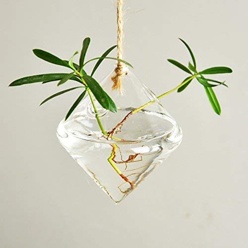 Indoor Outdoor Glass Hanging Planters Plant Pots Water Plant Conta...