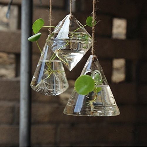 Indoor Outdoor Glass Hanging Planters Plant Pots Water Plant Conta...
