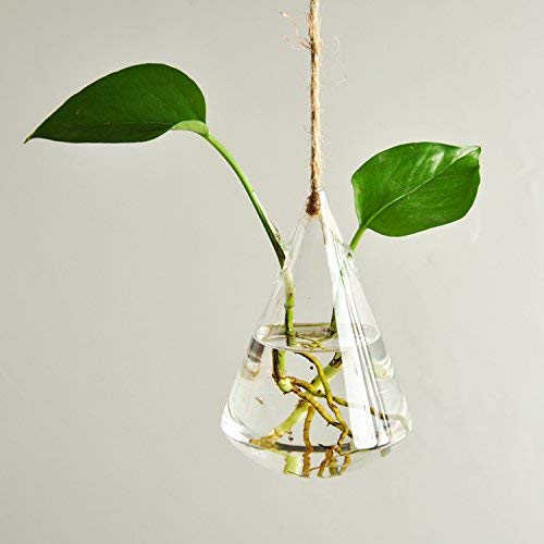 Indoor Outdoor Glass Hanging Planters Plant Pots Water Plant Conta...