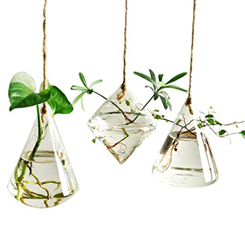 Indoor Outdoor Glass Hanging Planters Plant Pots Water Plant Conta...