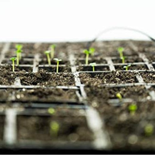 RHS Propagation Heat Mat, Spill Proof Seedling Pad, Heated Film Te...