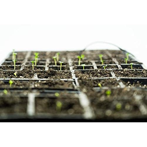 RHS Propagation Heat Mat, Spill Proof Seedling Pad, Heated Film Te...