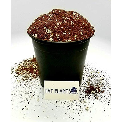 Fat Plants San Diego Premium Cacti and Succulent Soil with Nutrients