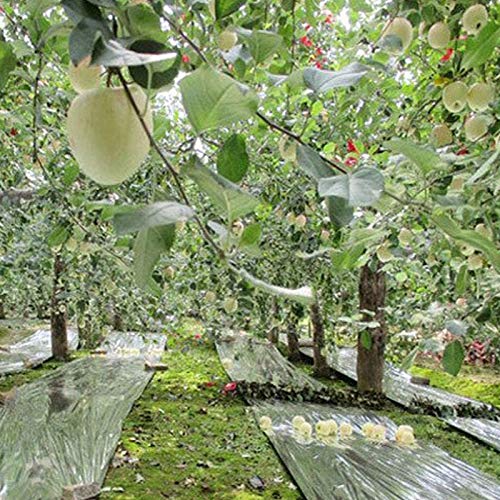 Fauge 6 Pack High Silver Reflective Mylar Film, Garden Greenhouse ...