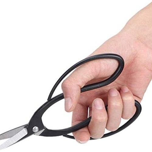 Fditt Professional Bonsai Tool Kit 7 PCS Stainless Steel Scissor S...