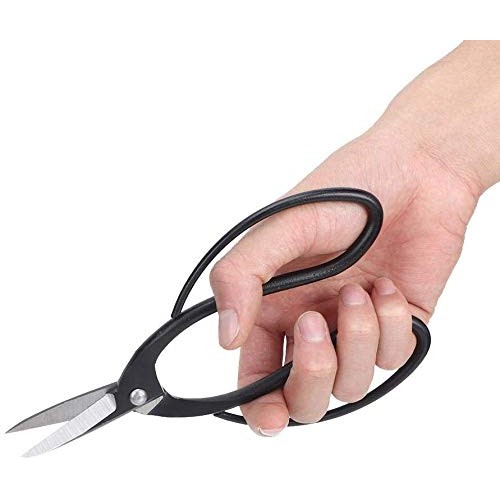 Fditt Professional Bonsai Tool Kit 7 PCS Stainless Steel Scissor S...