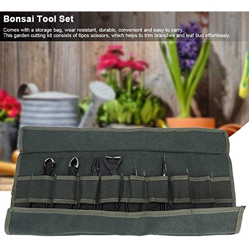 Fditt Professional Bonsai Tool Kit 7 PCS Stainless Steel Scissor S...