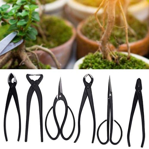 Fditt Professional Bonsai Tool Kit 7 PCS Stainless Steel Scissor S...