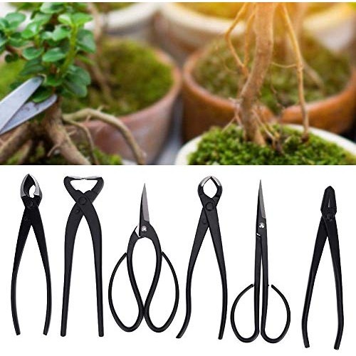 Fditt Professional Bonsai Tool Kit 7 PCS Stainless Steel Scissor S...