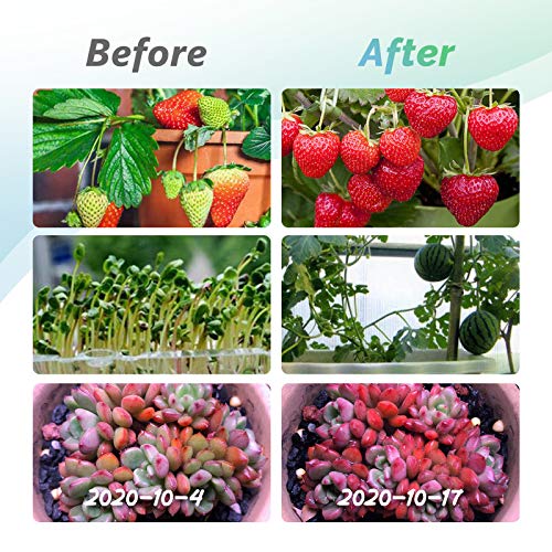 LED Grow Lights for Indoor Plants, Full Spectrum Plant Light with ...
