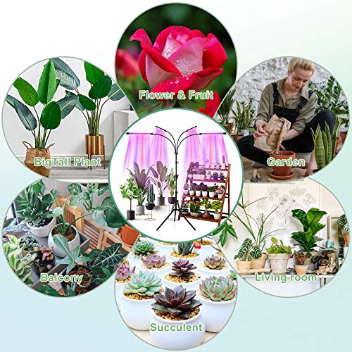 LED Grow Lights for Indoor Plants, Full Spectrum Plant Light with ...