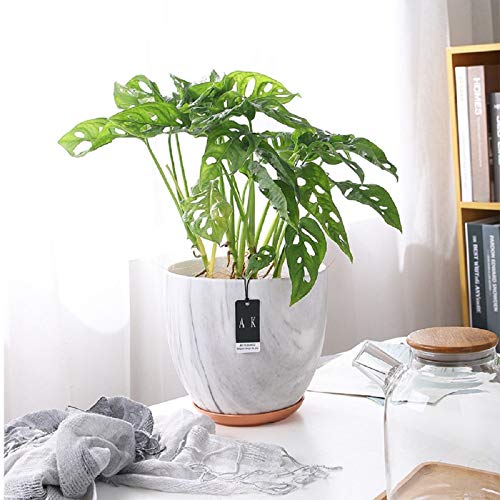 FEIAA Ceramic Planter Flower Pot 6 Inch Orchid Plant Pots with Hol...