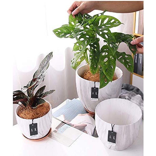 FEIAA Ceramic Planter Flower Pot 6 Inch Orchid Plant Pots with Hol...