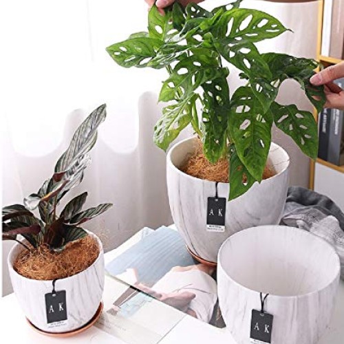 FEIAA Ceramic Planter Flower Pot 6 Inch Orchid Plant Pots with Hol...