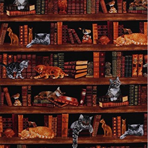 Cotton Cats Kittens Books Library Bookshelves Bookcase Bookworm Li...