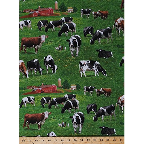 Cotton Cows Holstein Cattle Guernsey Scenic Fields Barns Country F...